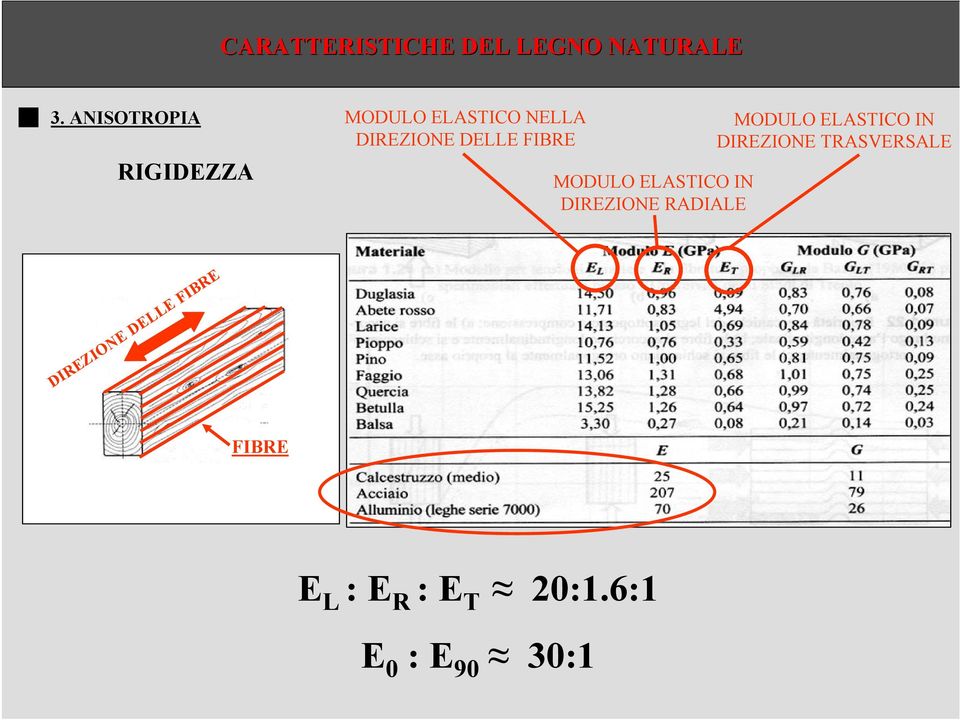 FIBRE MODULO ELASTICO IN DIREZIONE RADIALE MODULO ELASTICO IN