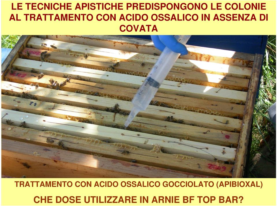 COVATA TRATTAMENTO CON ACIDO OSSALICO GOCCIOLATO