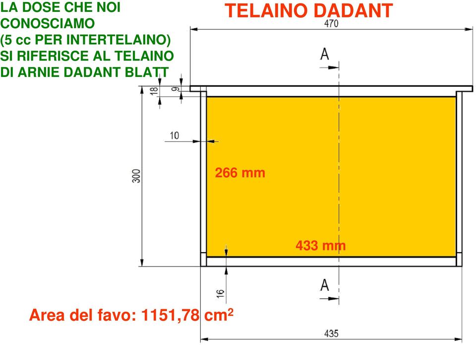 DI ARNIE DADANT BLATT TELAINO DADANT