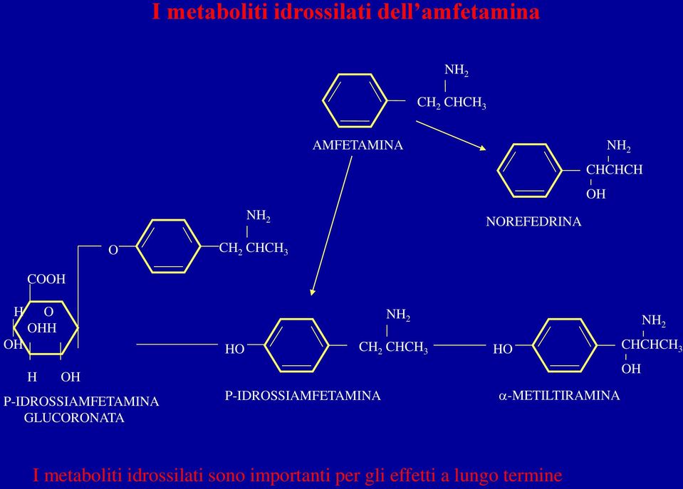 P-IDROSSIAMFETAMINA GLUCORONATA NH 2 HO CH 2 CHCH 3 P-IDROSSIAMFETAMINA NH 2