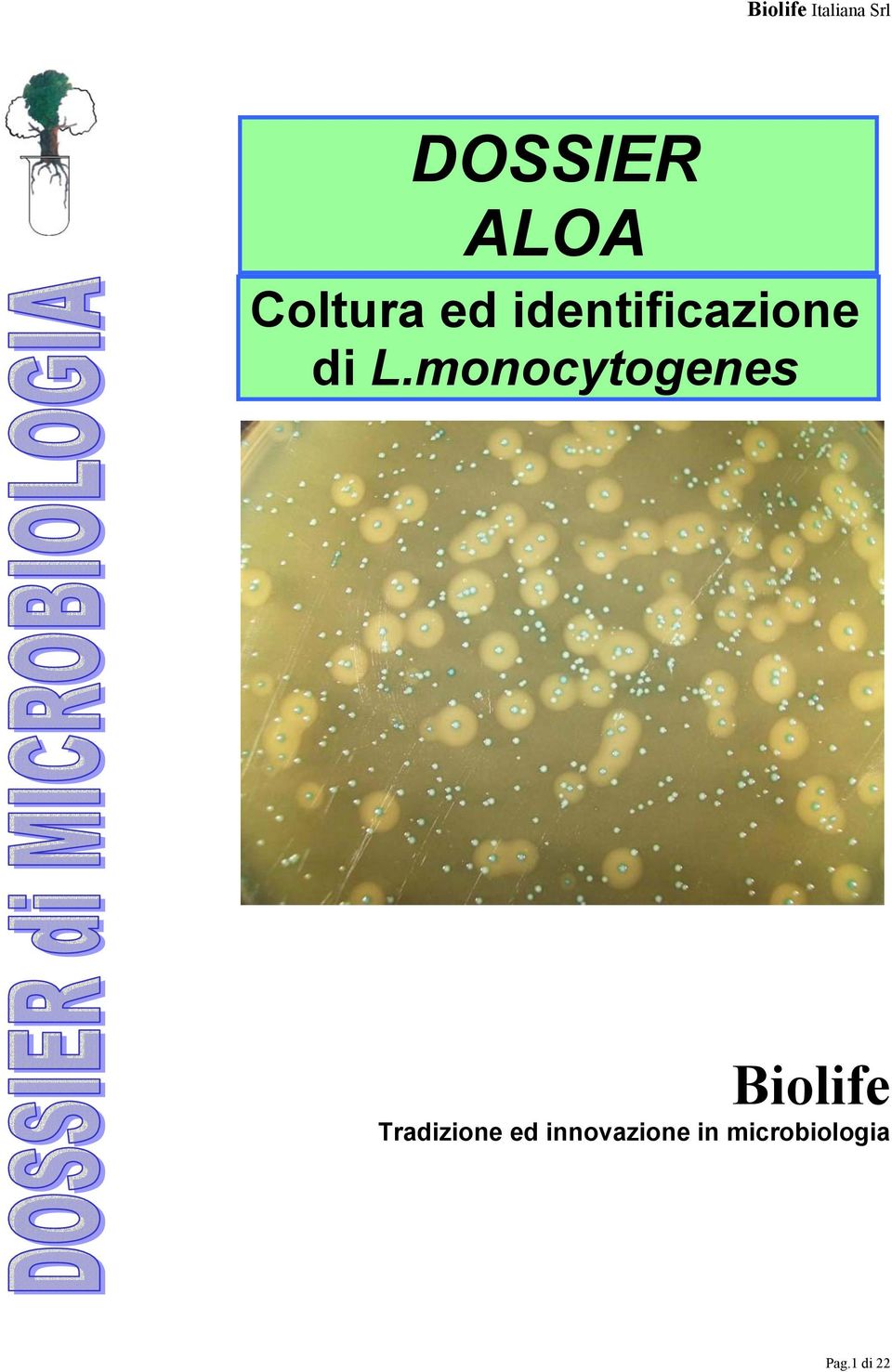 monocytogenes Biolife