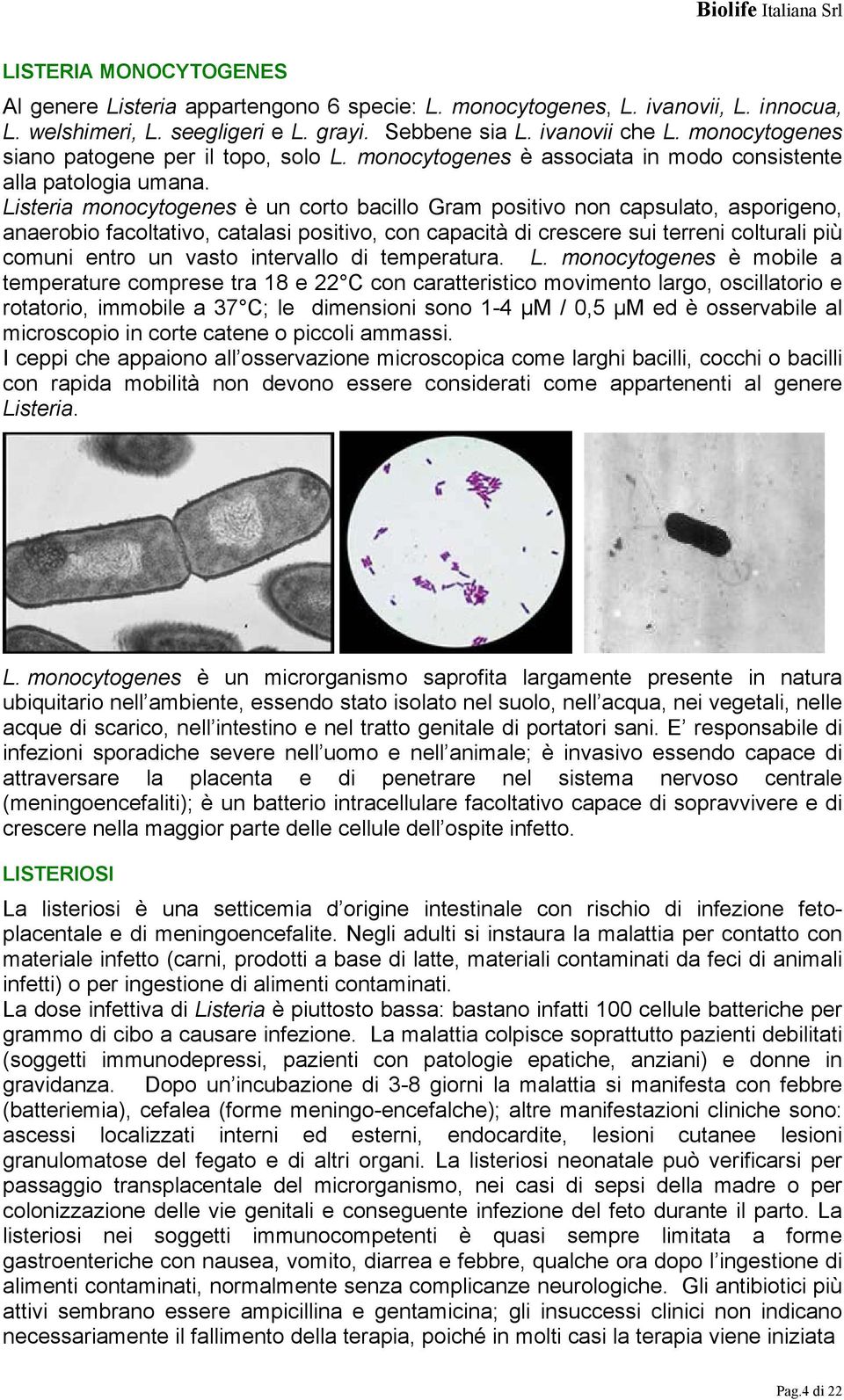 Listeria monocytogenes è un corto bacillo Gram positivo non capsulato, asporigeno, anaerobio facoltativo, catalasi positivo, con capacità di crescere sui terreni colturali più comuni entro un vasto