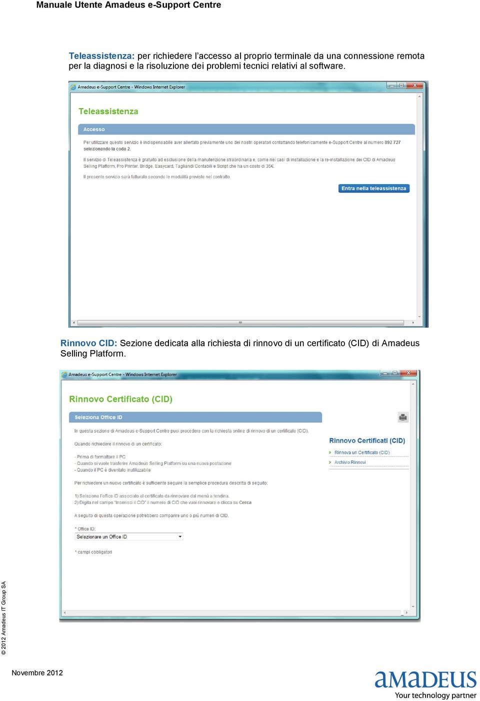 problemi tecnici relativi al software.