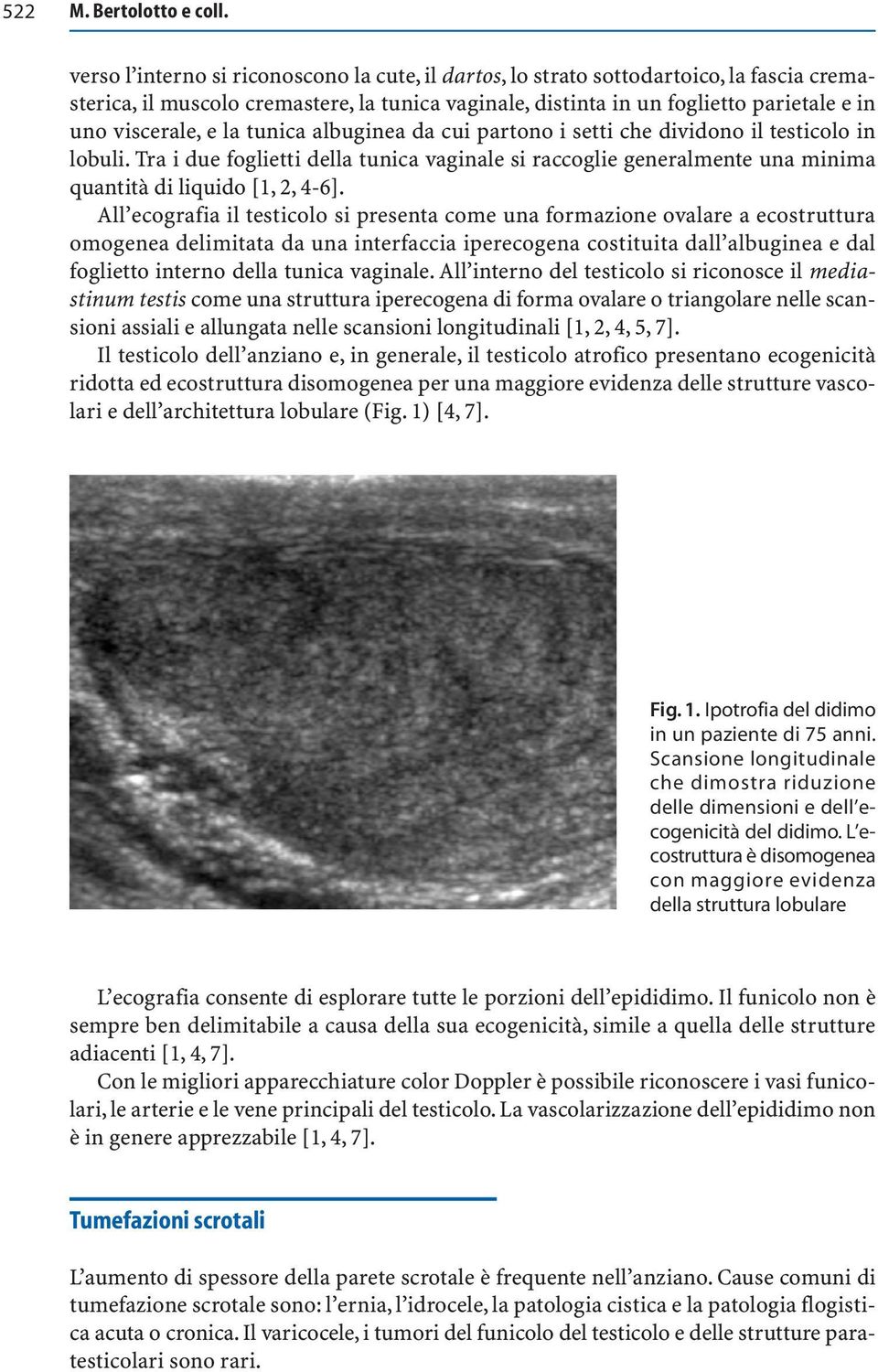 la tunica albuginea da cui partono i setti che dividono il testicolo in lobuli. Tra i due foglietti della tunica vaginale si raccoglie generalmente una minima quantità di liquido [1, 2, 4-6].