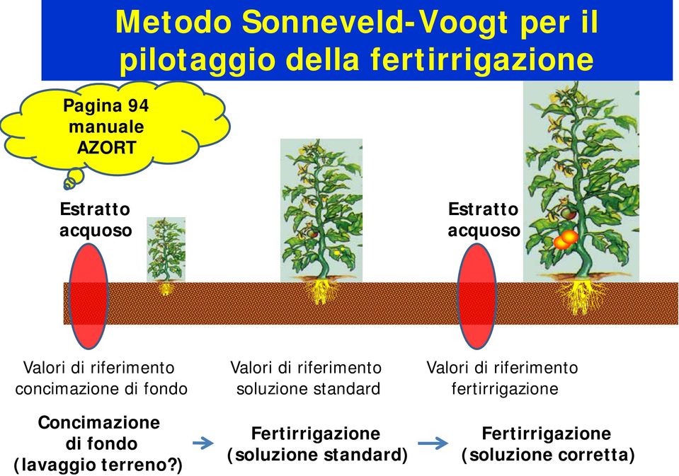 Concimazione di fondo (lavaggio terreno?