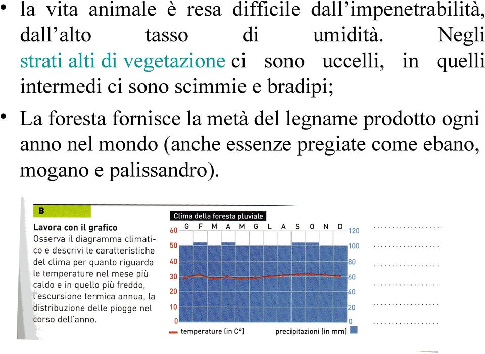 Negli strati alti di vegetazione ci sono uccelli, in quelli intermedi ci