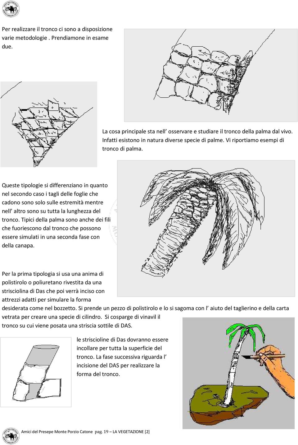 Queste tipologie si differenziano in quanto nel secondo caso i tagli delle foglie che cadono sono solo sulle estremità mentre nell altro sono su tutta la lunghezza del tronco.