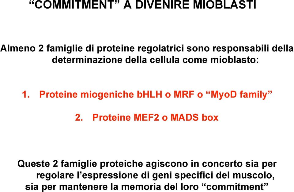 Proteine miogeniche bhlh o MRF o MyoD family 2.