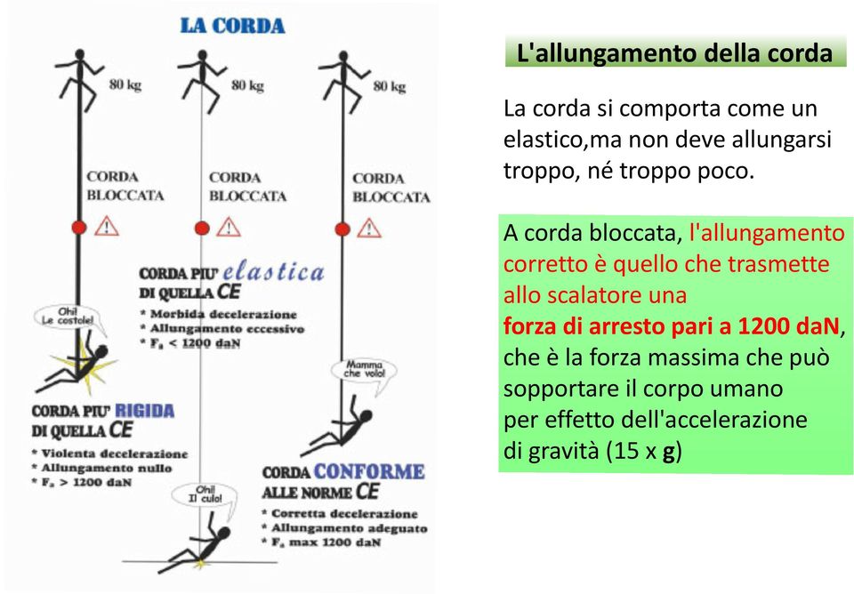 A corda bloccata, l'allungamento corretto è quello che trasmette allo scalatore una