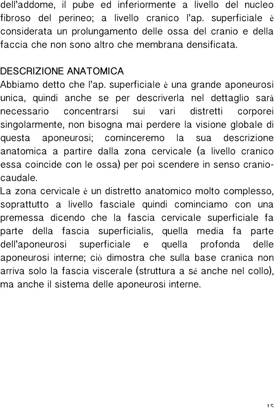 superficiale è una grande aponeurosi unica, quindi anche se per descriverla nel dettaglio sarà necessario concentrarsi sui vari distretti corporei singolarmente, non bisogna mai perdere la visione