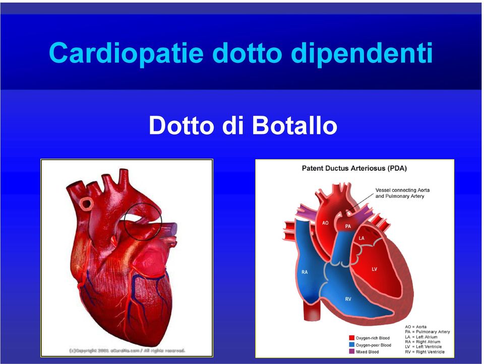 dipendenti