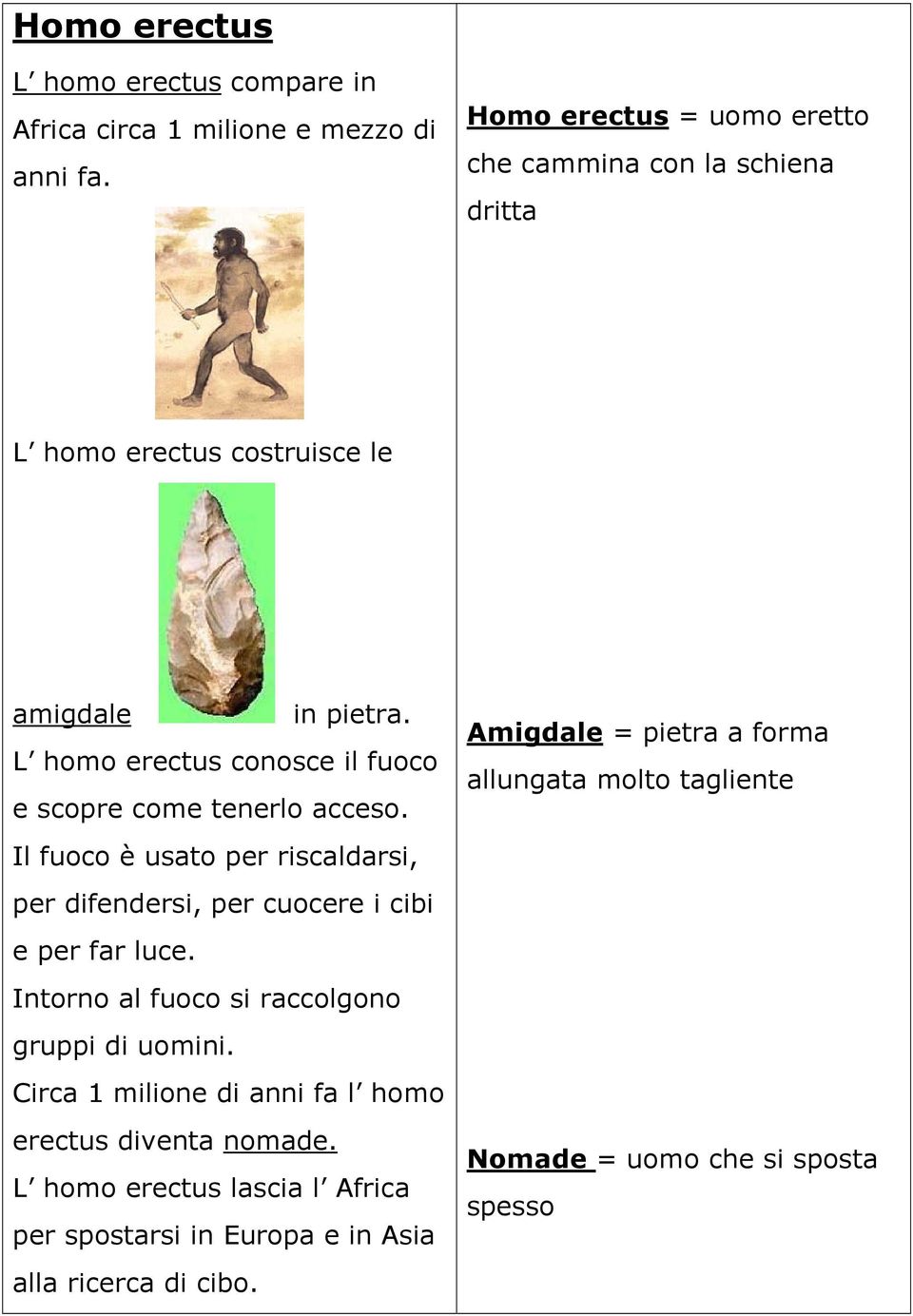 L homo erectus conosce il fuoco e scopre come tenerlo acceso. Il fuoco è usato per riscaldarsi, per difendersi, per cuocere i cibi e per far luce.