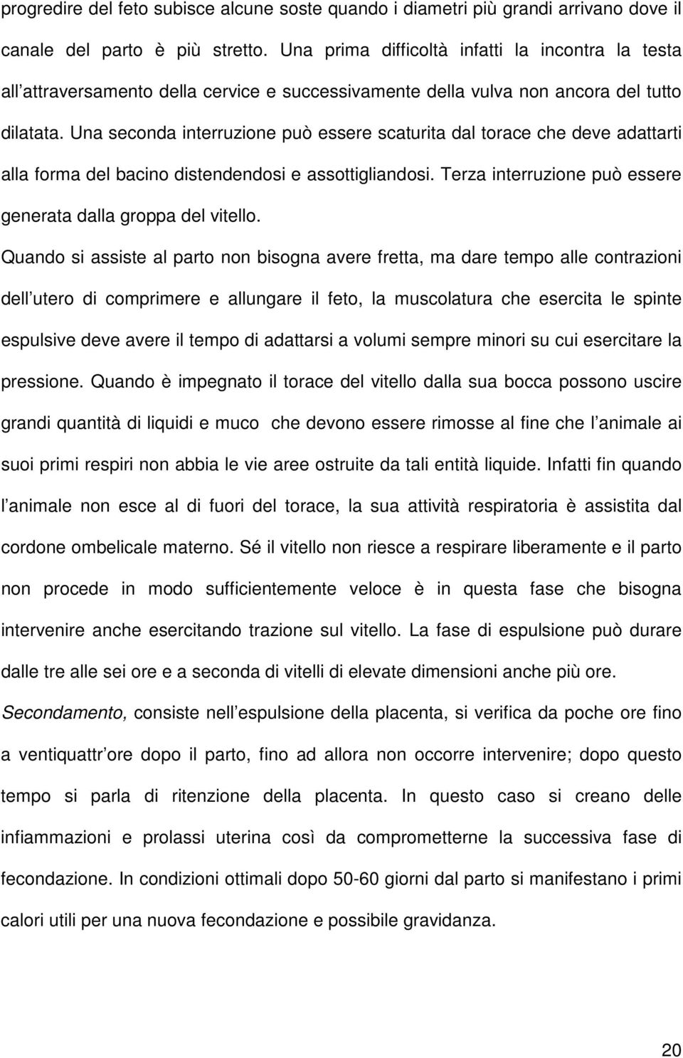 Una seconda interruzione può essere scaturita dal torace che deve adattarti alla forma del bacino distendendosi e assottigliandosi. Terza interruzione può essere generata dalla groppa del vitello.