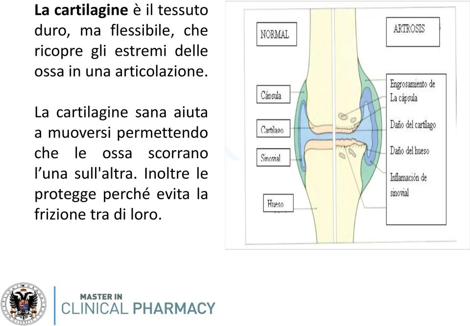 La cartilagine sana aiuta a muoversi permettendo che le ossa