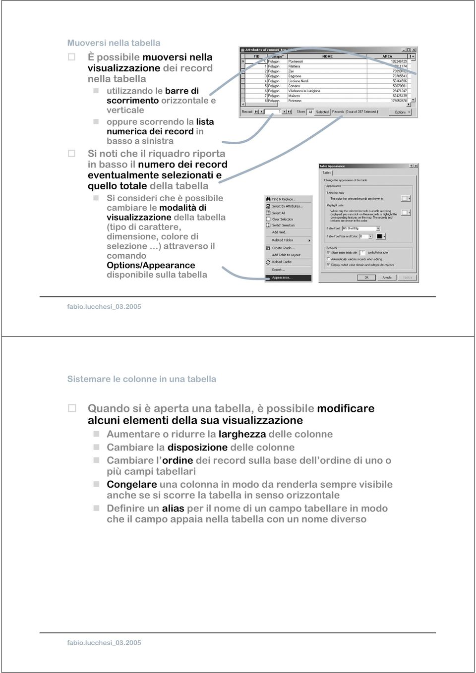 visualizzazione della tabella (tipo di carattere, dimensione, colore di selezione ) attraverso il comando Options/Appearance disponibile sulla tabella Sistemare le colonne in una tabella Quando si è