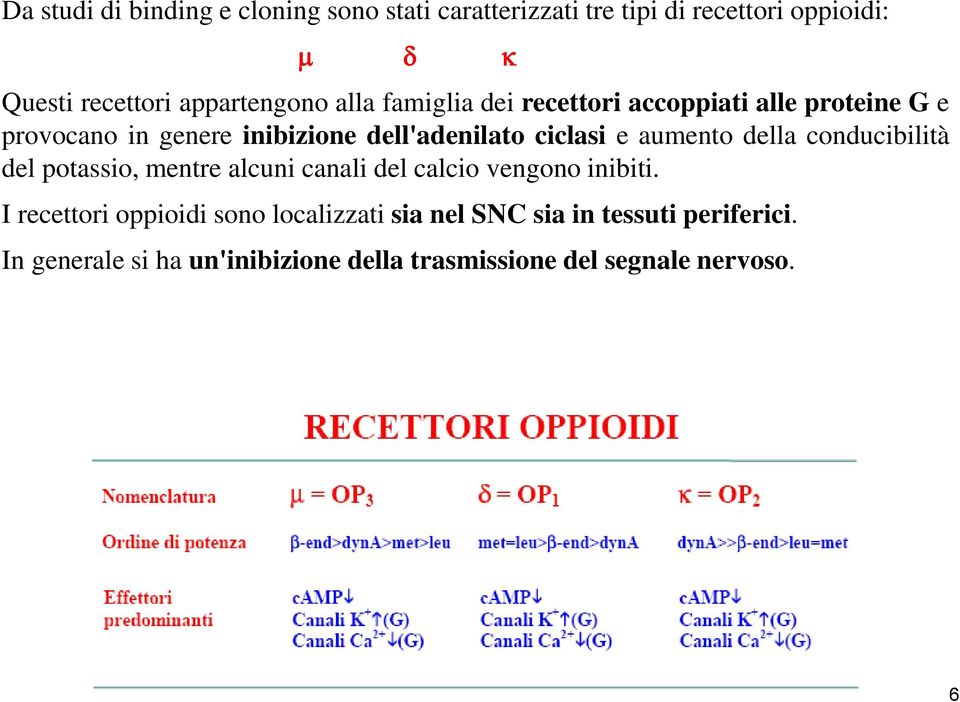 ciclasi e aumento della conducibilità del potassio, mentre alcuni canali del calcio vengono inibiti.