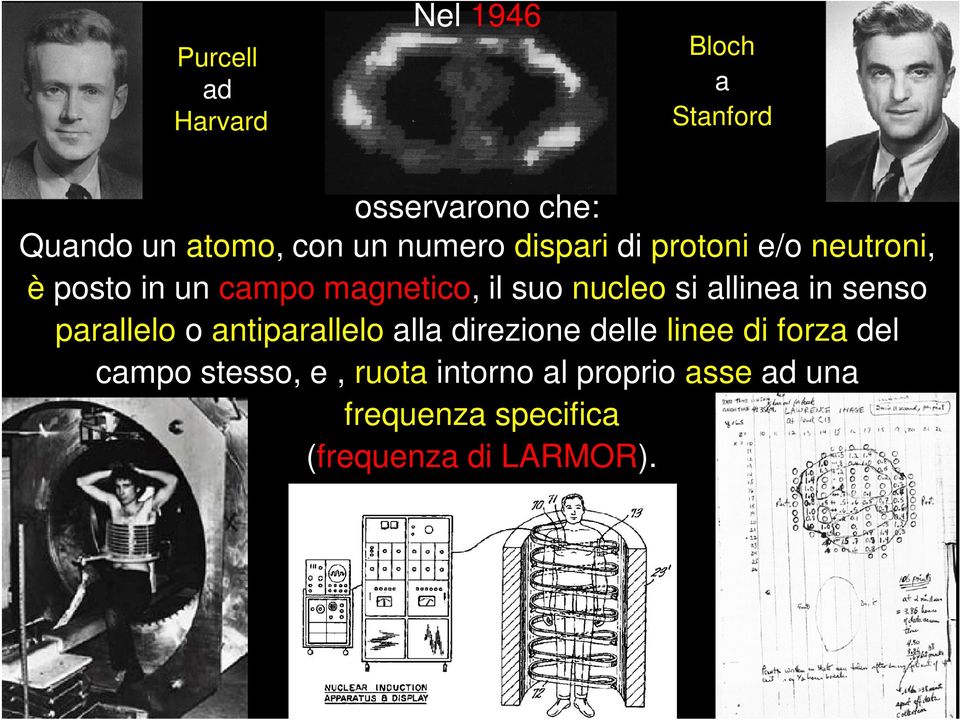 allinea in senso parallelo o antiparallelo alla direzione delle linee di forza del campo