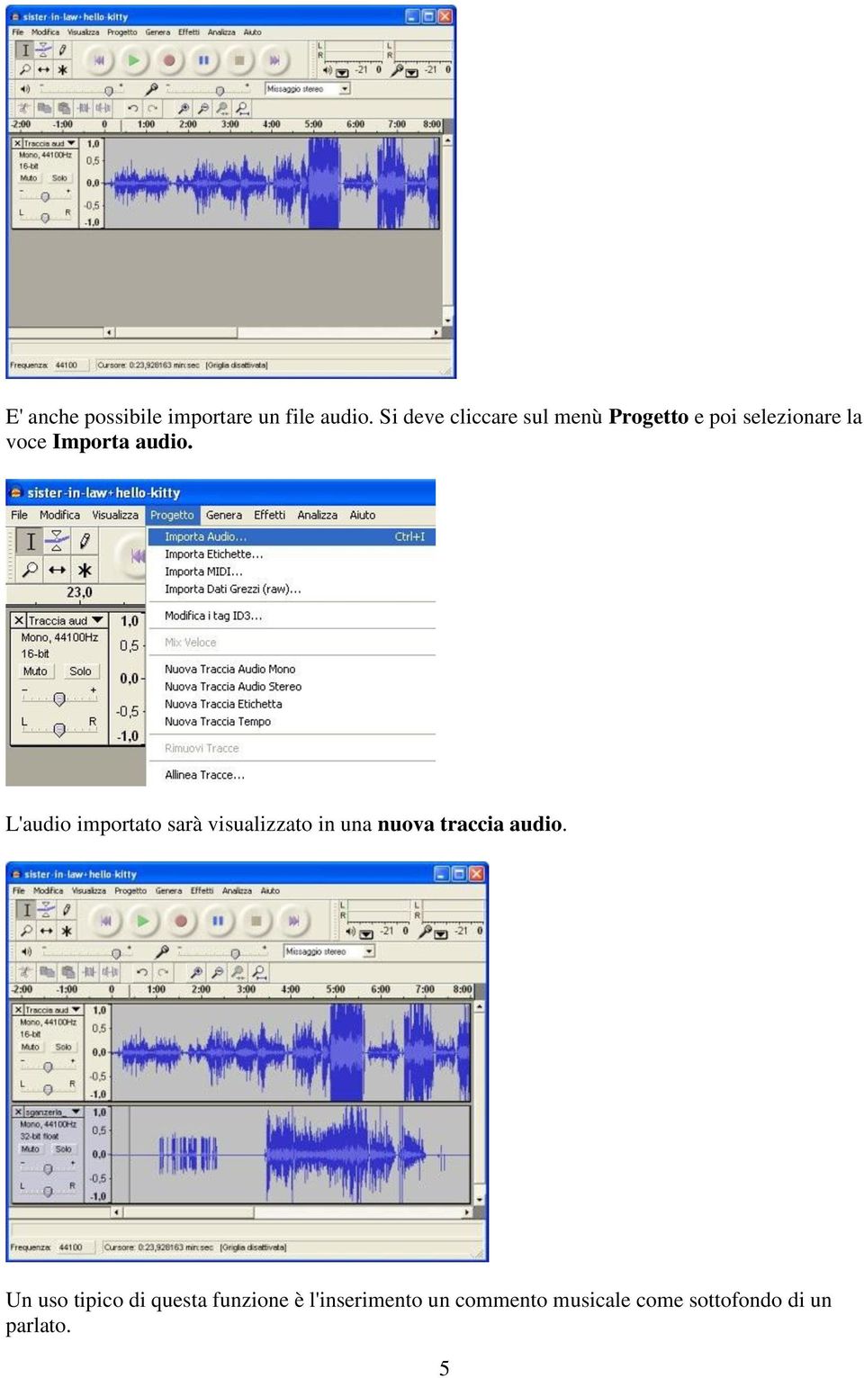 audio. L'audio importato sarà visualizzato in una nuova traccia audio.