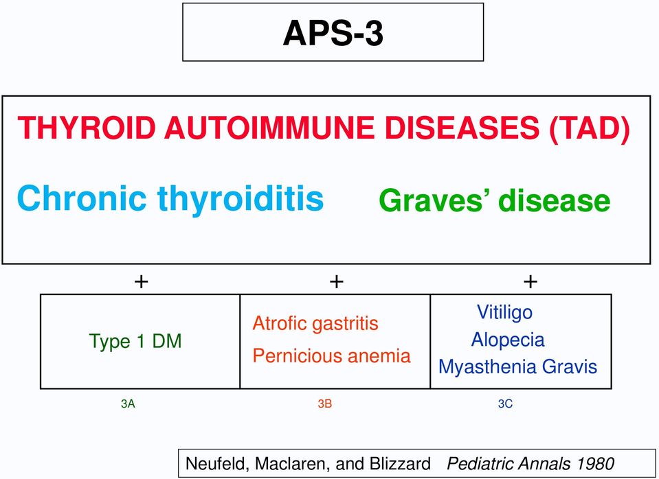 gastritis Pernicious anemia Vitiligo Alopecia Myasthenia