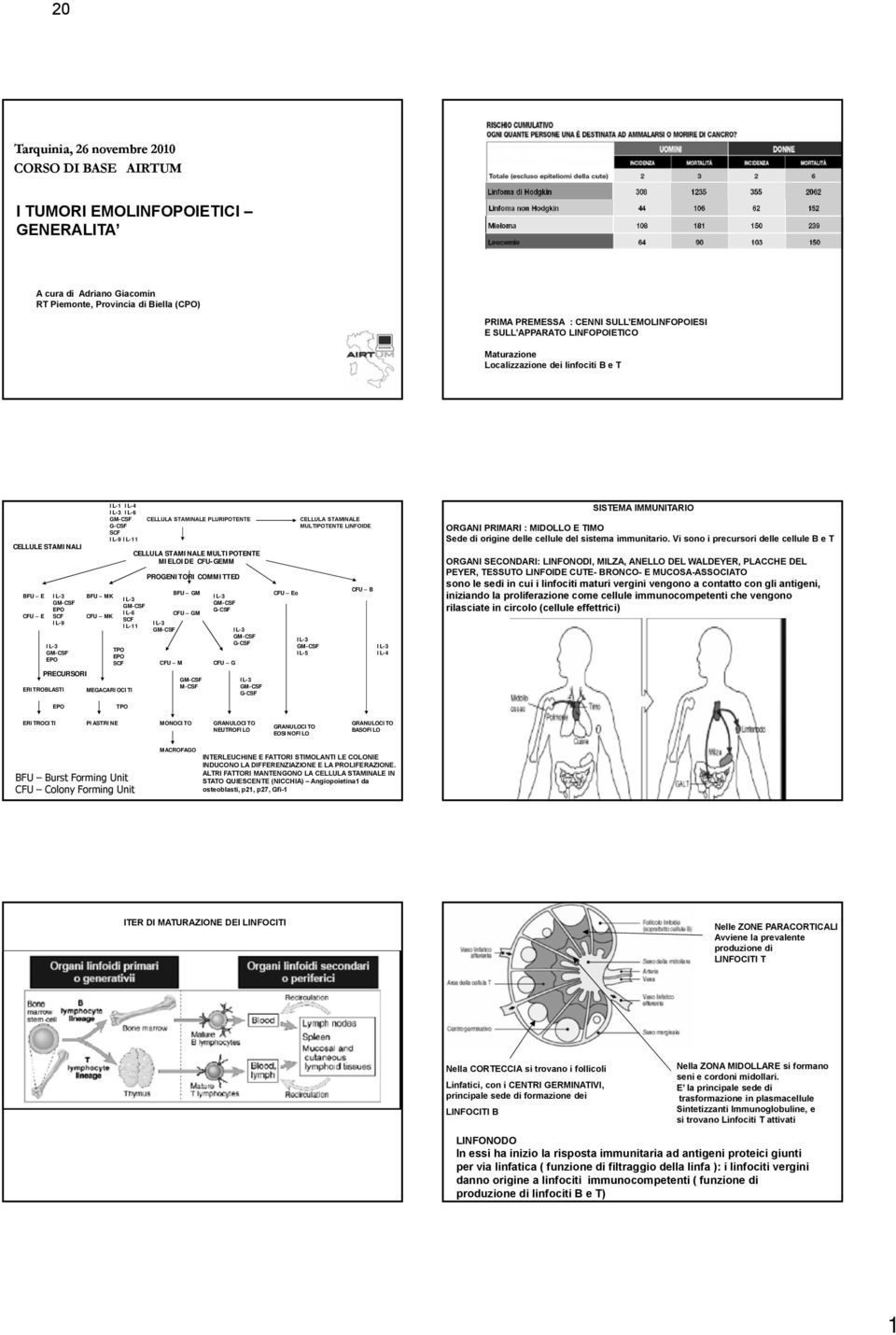 IL-6 GM-CSF G-CSF SCF IL-9 IL-11 TPO EPO SCF MEGACARIOCITI CELLULA STAMINALE PLURIPOTENTE CELLULA STAMINALE MULTIPOTENTE MIELOIDE CFU-GEMM IL-3 GM-CSF IL-6 SCF IL-11 PROGENITORI COMMITTED BFU GM CFU