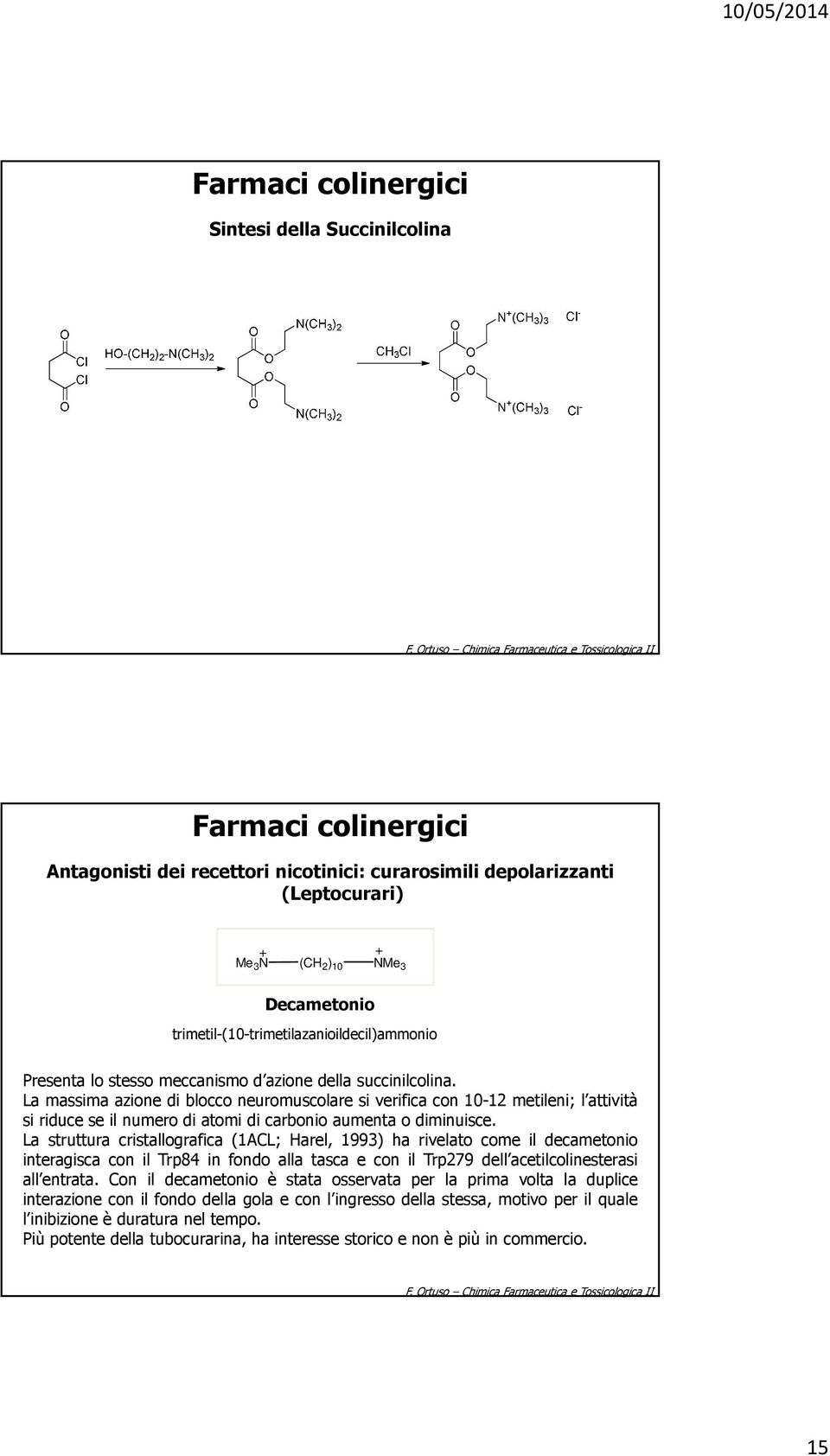 La massima azione di blocco neuromuscolare si verifica con 10-12 metileni; l attività si riduce se il numero di atomi di carbonio aumenta o diminuisce.