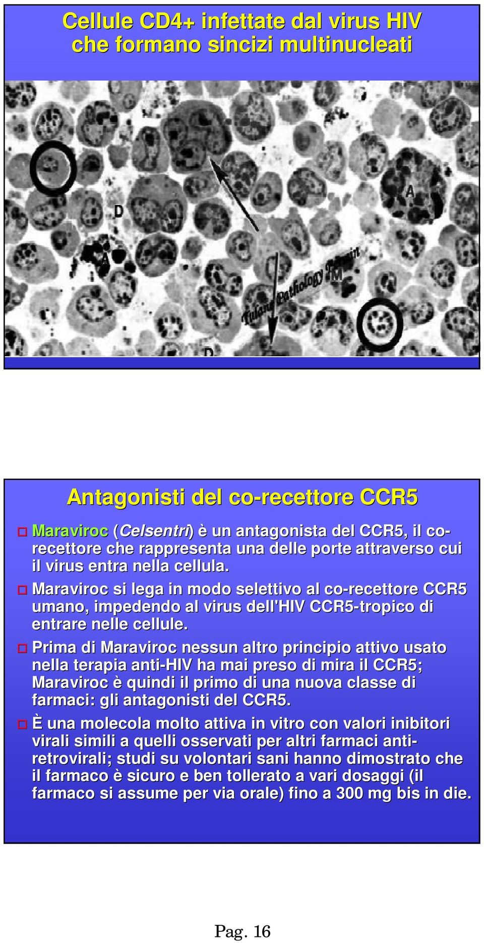 Prima di Maraviroc nessun altro principio attivo usato nella terapia anti-hiv ha mai preso di mira il CCR5; Maraviroc è quindi il primo di una nuova classe di farmaci: gli antagonisti del CCR5.