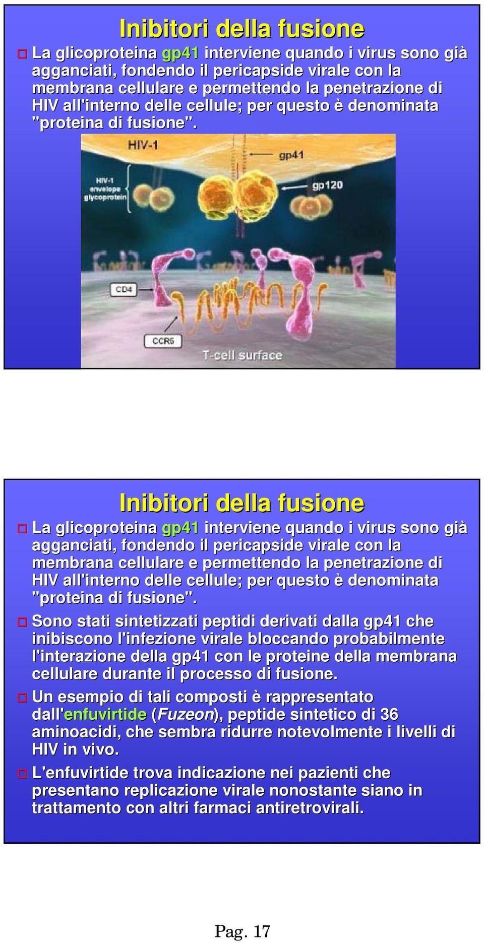 Sono stati sintetizzati peptidi derivati dalla gp41 che inibiscono l'infezione virale bloccando probabilmente l'interazione della gp41 con le proteine della membrana cellulare durante il processo di