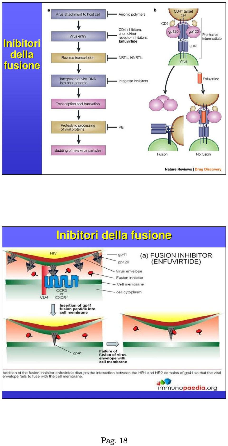 Pag. 18