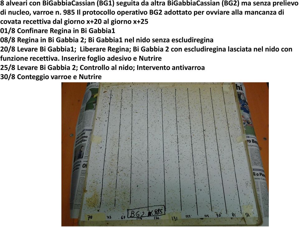 Bi Gabbia1 08/8 Regina in Bi Gabbia 2; Bi Gabbia1 nel nido senza escludiregina 20/8 Levare Bi Gabbia1; Liberare Regina; Bi Gabbia 2 con