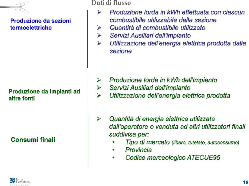 Produzione lorda in kwh dell impianto Servizi Ausiliari dell impianto Utilizzazione dell energia elettrica prodotta Consumi finali Quantità di energia