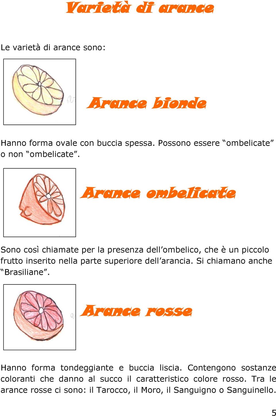 Arance ombelicate Sono così chiamate per la presenza dell ombelico, che è un piccolo frutto inserito nella parte superiore dell