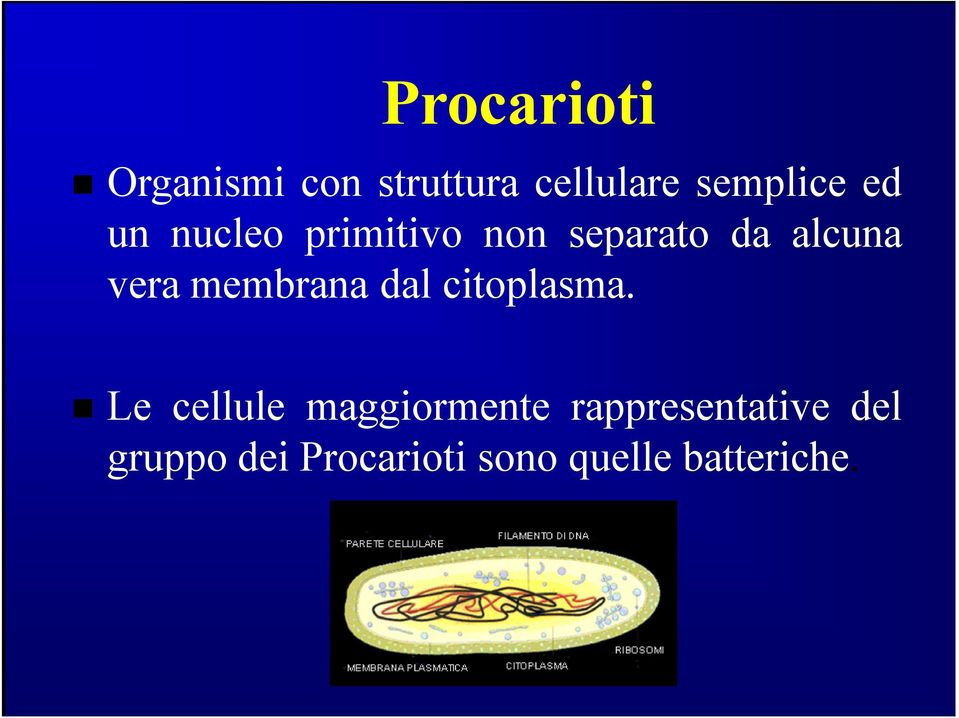 membrana dal citoplasma.