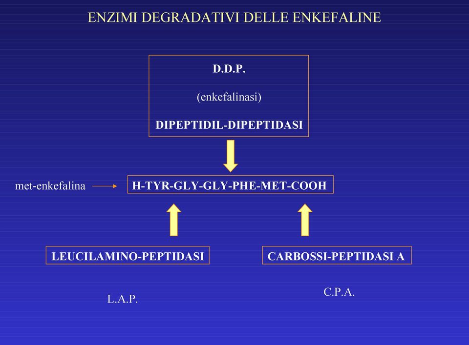 met-enkefalina H-TYR-GLY-GLY-PHE-MET-COOH