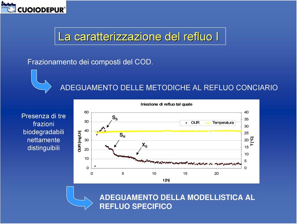 frazioni biodegradabili nettamente distinguibili OUR [mg/lh] 60 50 40 30 20 10 S S S H XS OUR