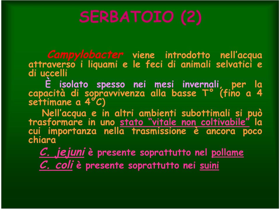 Nell acqua e in altri ambienti subottimali si può trasformare in uno stato vitale non coltivabile la cui importanza