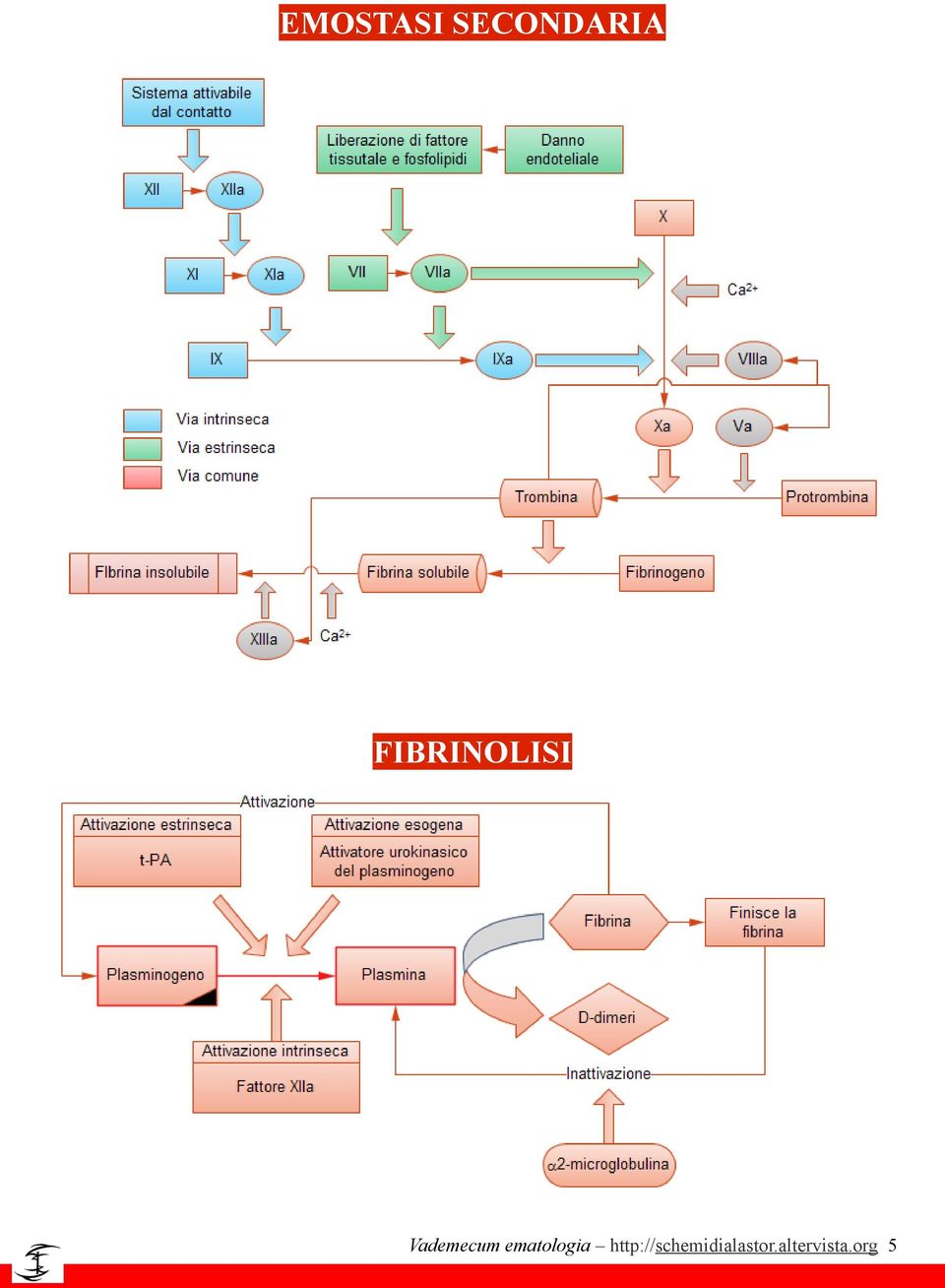 ematologia