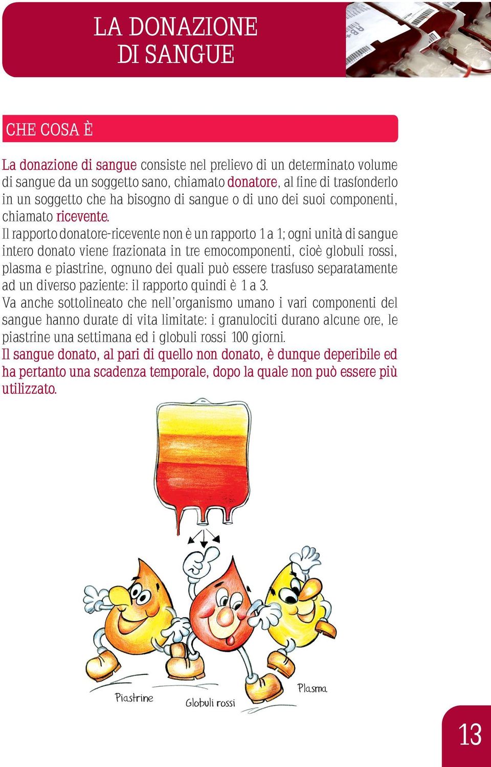 Il rapporto donatore-ricevente non è un rapporto 1 a 1; ogni unità di sangue intero donato viene frazionata in tre emocomponenti, cioè globuli rossi, plasma e piastrine, ognuno dei quali può essere