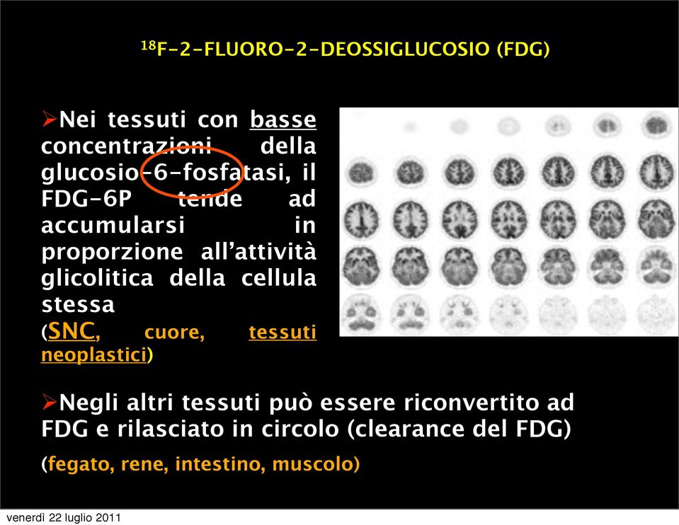 glicolitica della cellula stessa (SNC, cuore, tessuti neoplastici) Negli altri tessuti