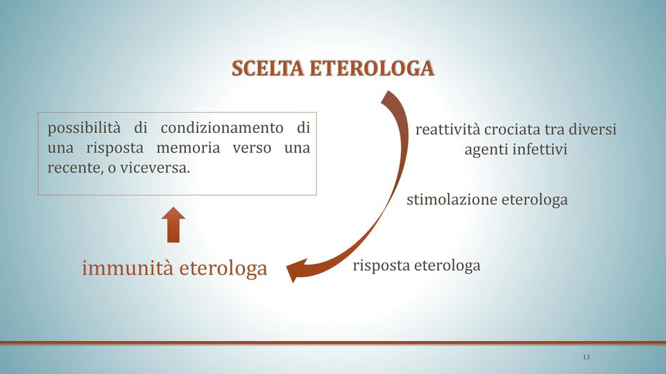 reattività crociata tra diversi agenti infettivi