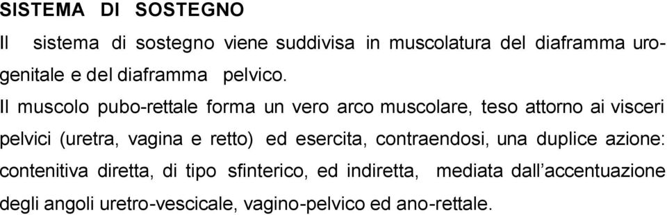 Il muscolo pubo-rettale forma un vero arco muscolare, teso attorno ai visceri pelvici (uretra, vagina e