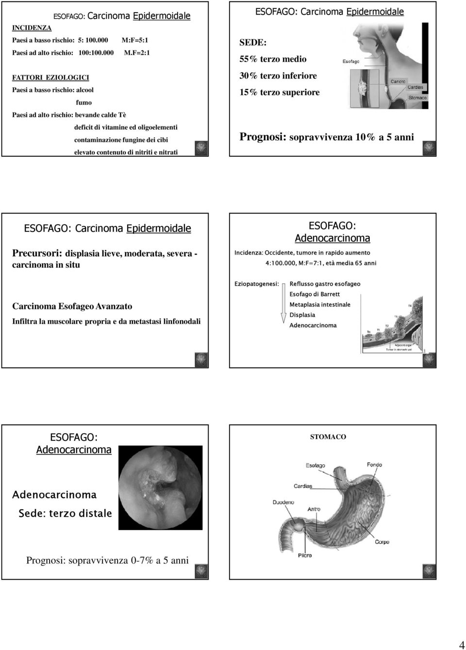 F=2:1 FATTORI EZIOLOGICI Paesi a basso rischio: alcool fumo Paesi ad alto rischio: bevande calde Tè deficit di vitamine ed oligoelementi contaminazione fungine dei cibi elevato contenuto di nitriti e