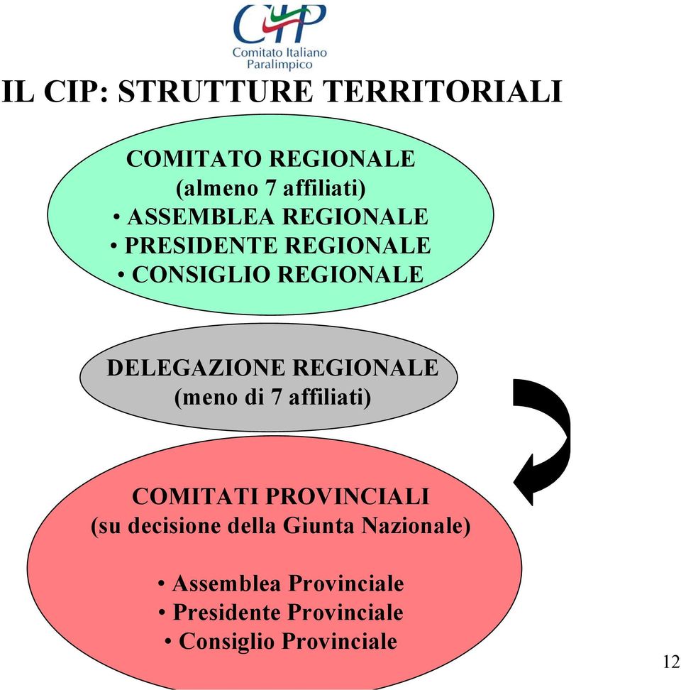 REGIONALE (meno di 7 affiliati) COMITATI PROVINCIALI (su decisione della