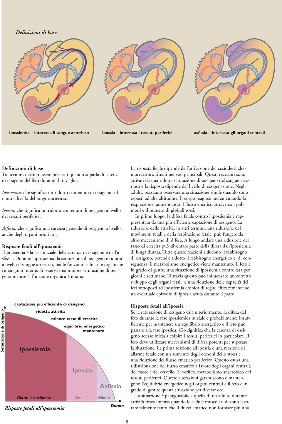 Ipossia, che significa un ridotto contenuto di ossigeno a livello dei tessuti periferici. Asfissia, che significa una carenza generale di ossigeno a livello anche degli organi prioritari.