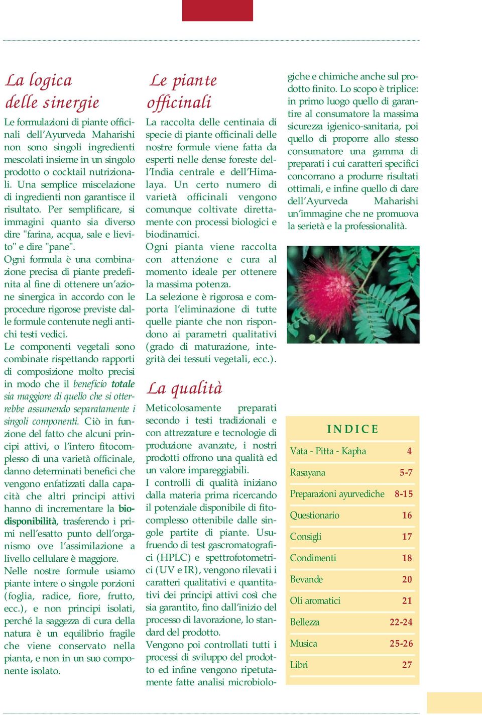 Ogni formula è una combinazione precisa di piante predefinita al fine di ottenere un azione sinergica in accordo con le procedure rigorose previste dalle formule contenute negli antichi testi vedici.