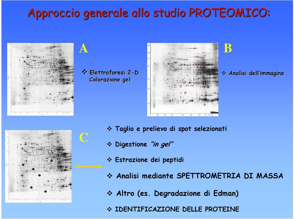 selezionati Digestione in gel Estrazione dei peptidi Analisi mediante