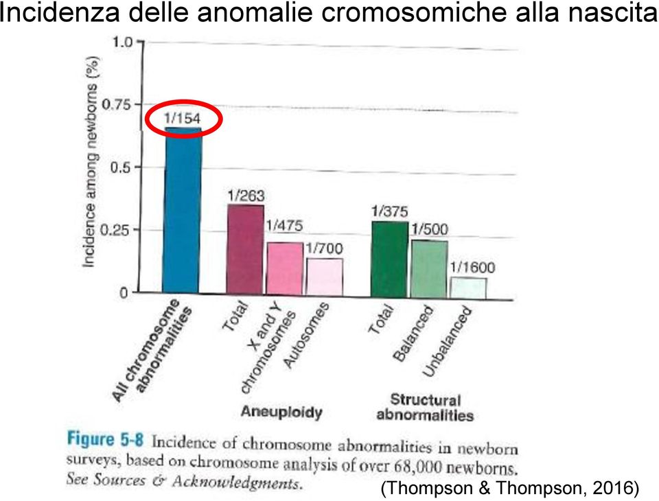 cromosomiche alla