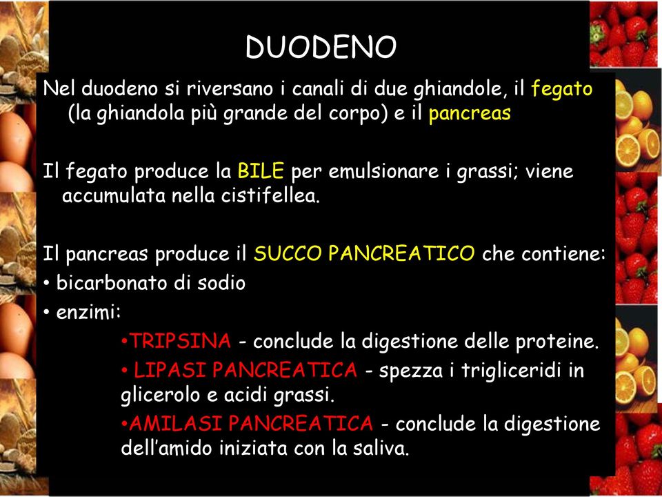 Il pancreas produce il SUCCO PANCREATICO che contiene: bicarbonato di sodio enzimi: TRIPSINA - conclude la digestione delle