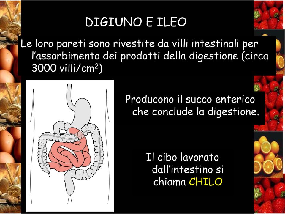 (circa 3000 villi/cm 2 ) Producono il succo enterico che