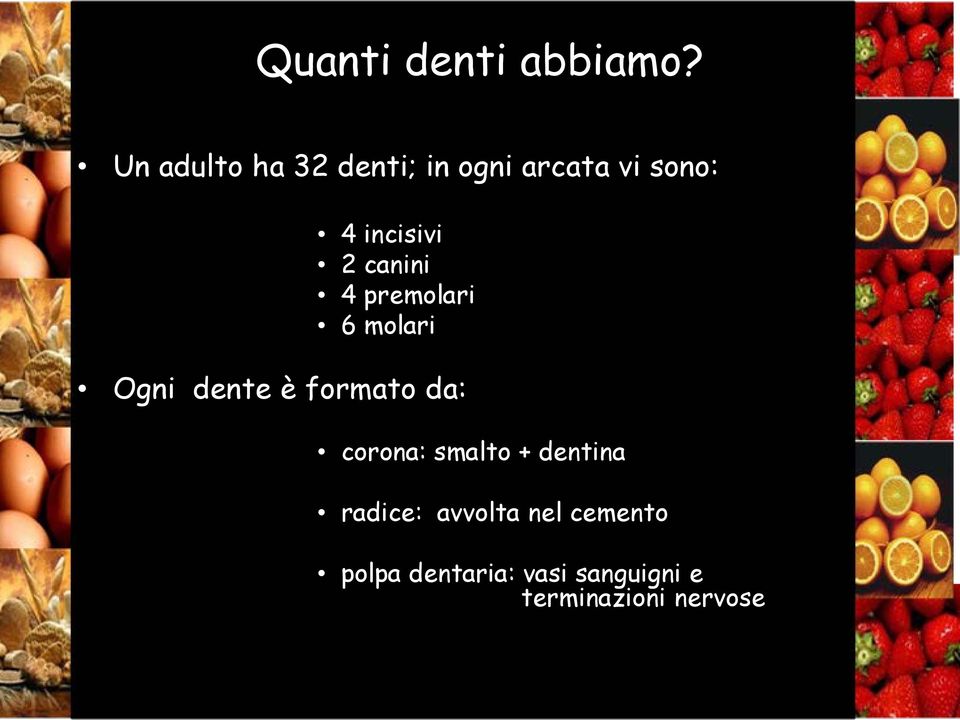 canini 4 premolari 6 molari Ogni dente è formato da: corona: