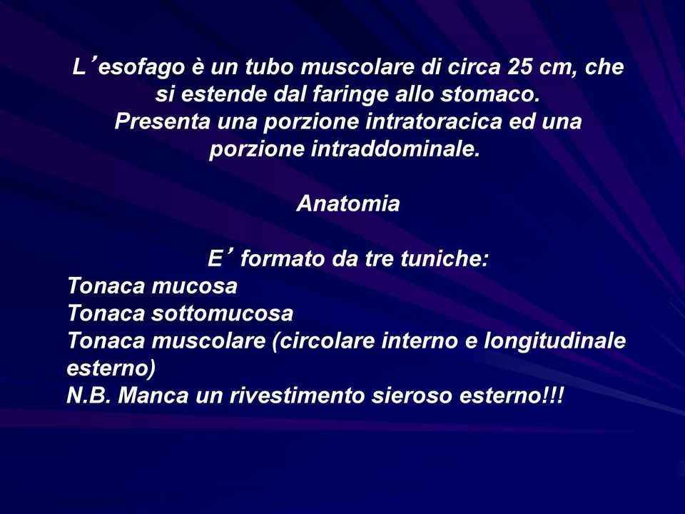 Anatomia E formato da tre tuniche: Tonaca mucosa Tonaca sottomucosa Tonaca